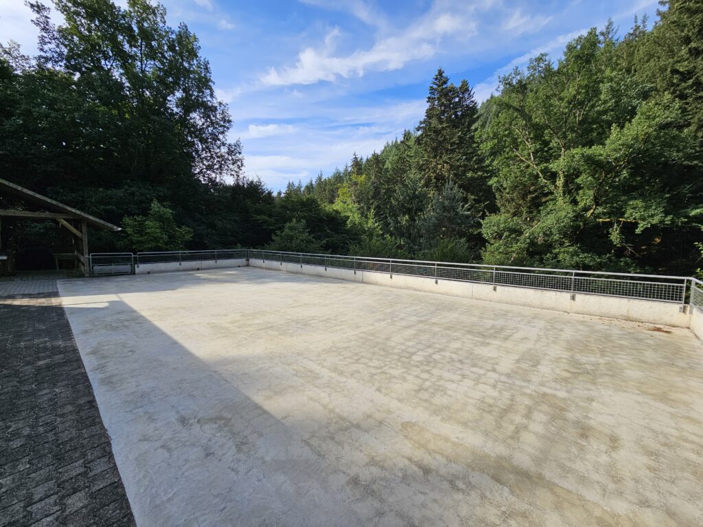 La Bassotte terrasse