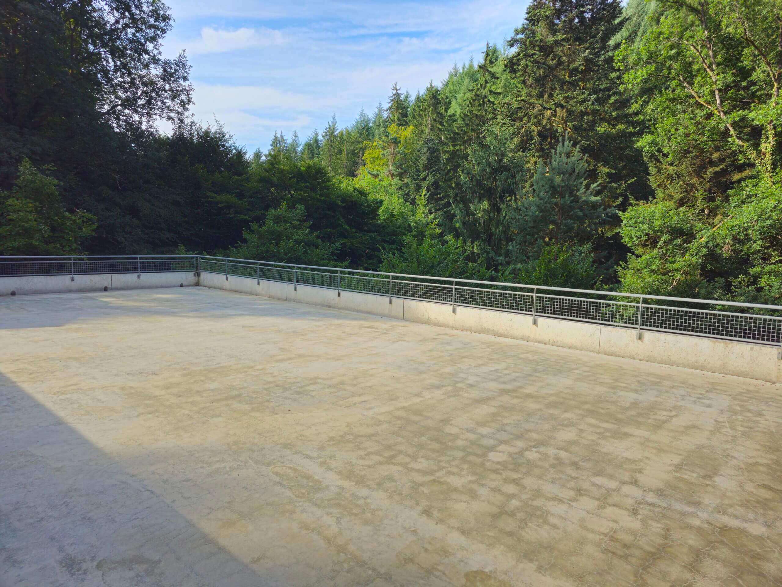 La Bassotte terrasse