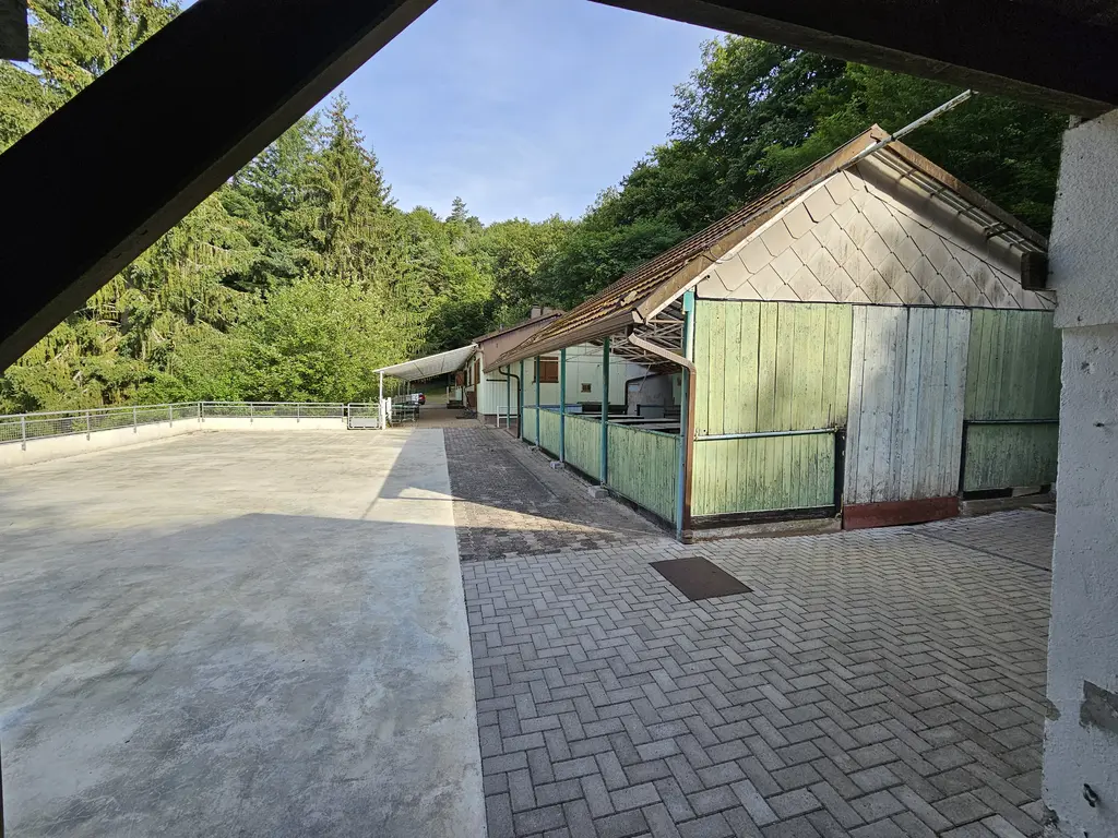 La Bassotte terrasse