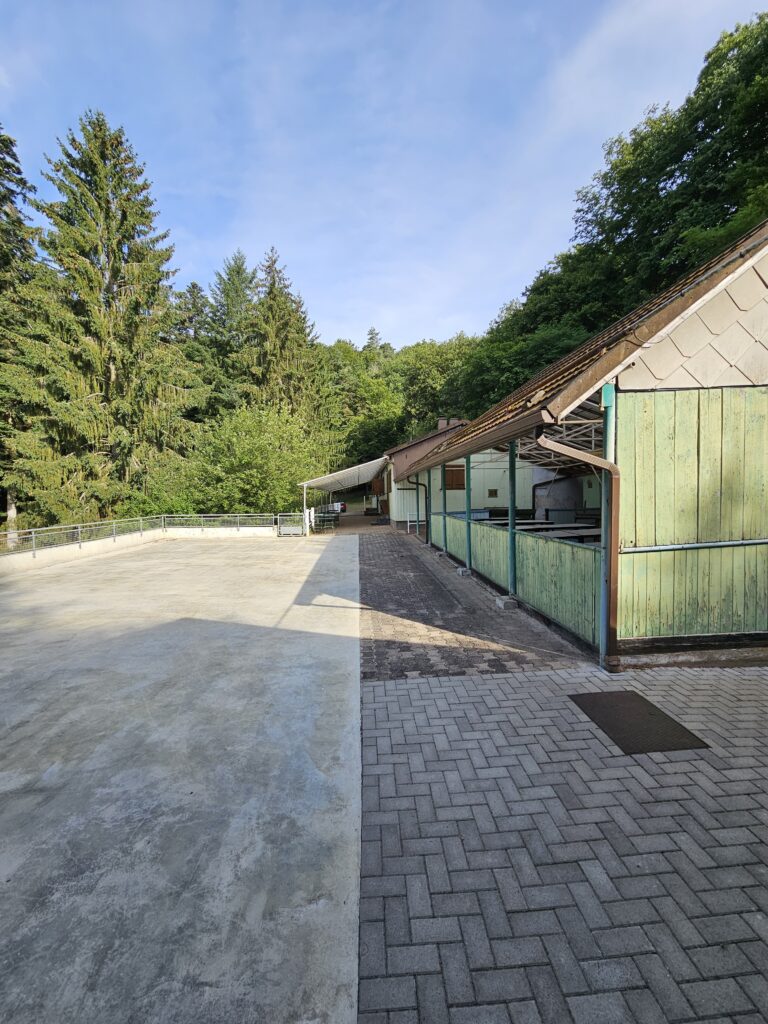 La Bassotte terrasse