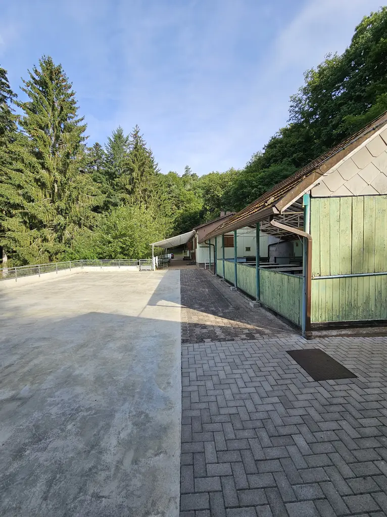 La Bassotte terrasse