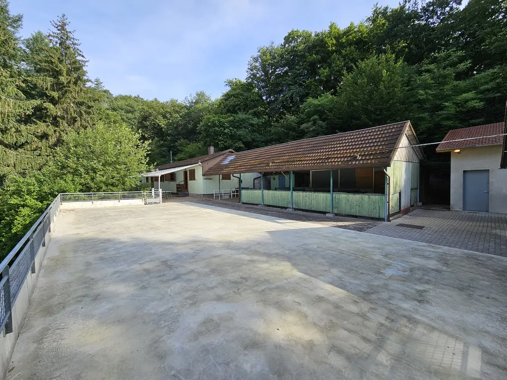 La Bassotte terrasse