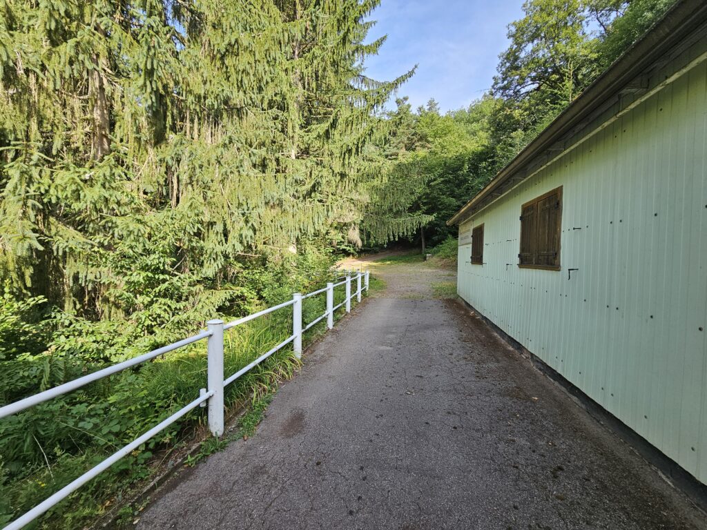 La Bassotte entrée