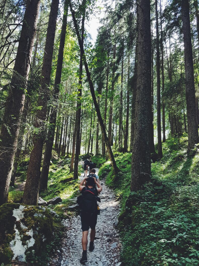 Marche populaire Hikers explore a lush forest trail in Garmisch-Partenkirchen, Germany.